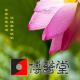 11月23日（上）心肾相交养睡眠 episode artwork