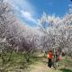 温柔的春风里,在场就很好了 episode artwork