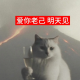 159. “爱你老己”能治好东亚小孩的精神内耗吗？ episode artwork